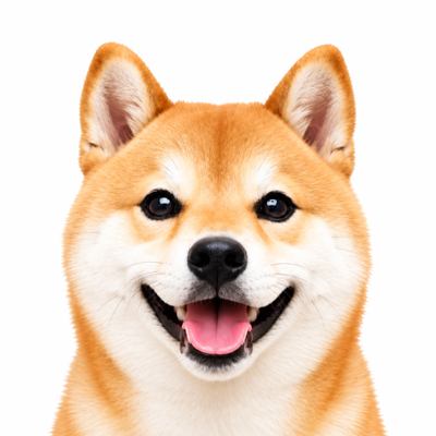 しばおのアバター